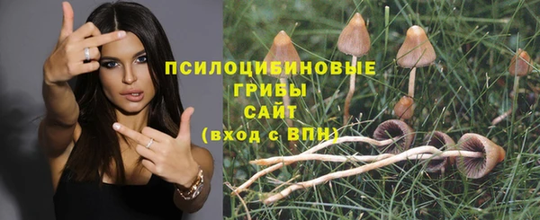 мет Арсеньев