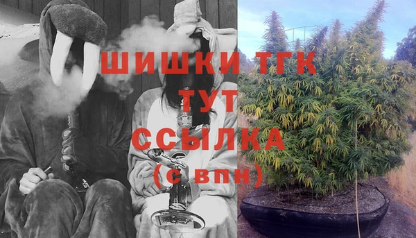 мет Арсеньев
